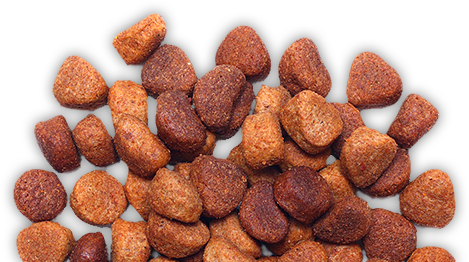 Dog food food-transparent-5