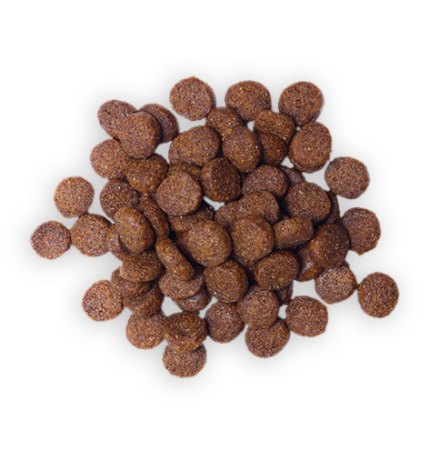Dog food food-transparent-17